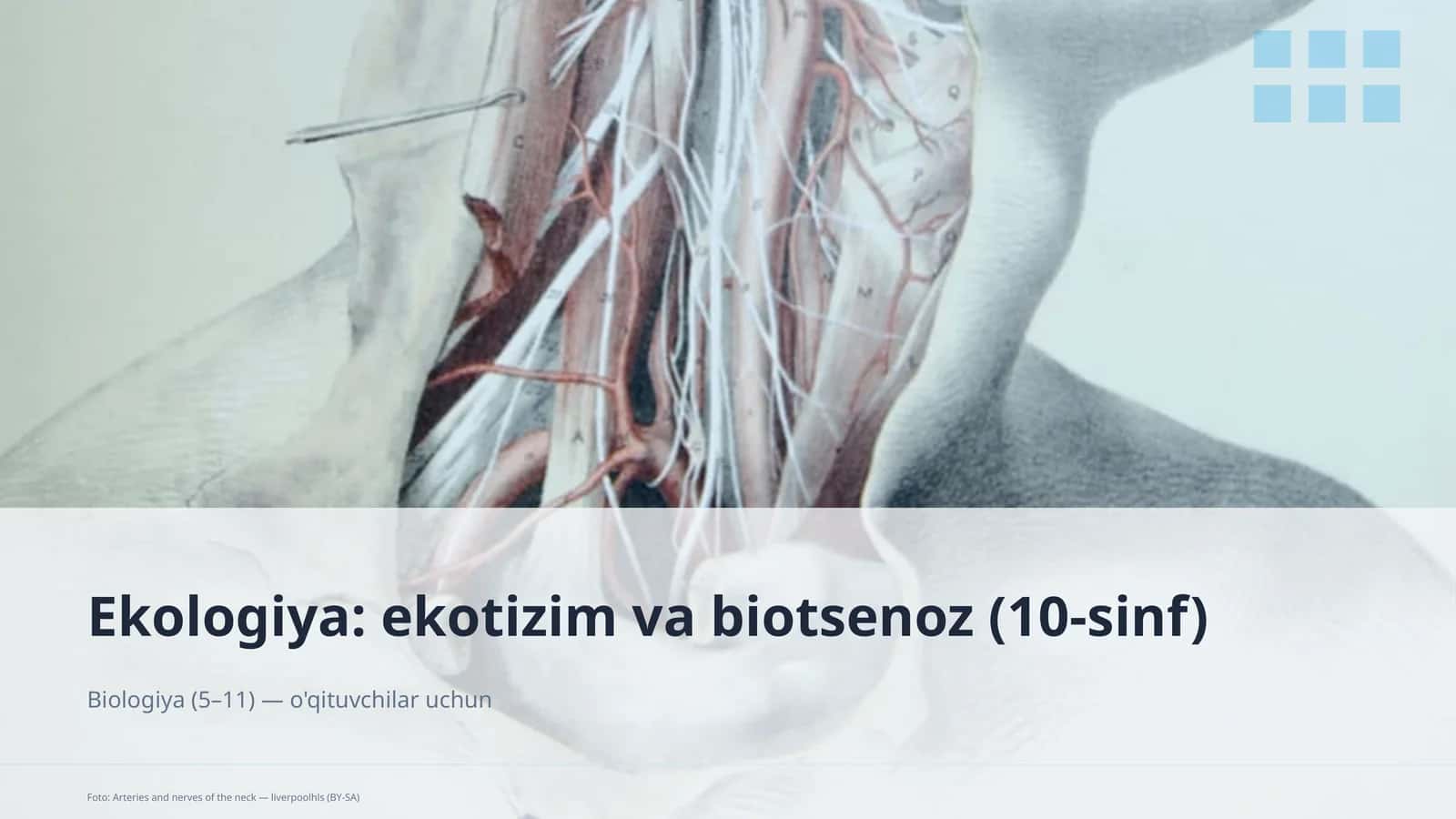 Ekologiya: ekotizim va biotsenoz (10-sinf) 1