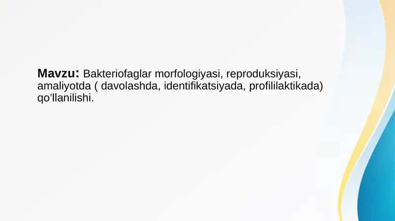 Bakteriofaglar morfologiyasi, reproduksiyasi, amaliyotda ( davolashda, identifikatsiyada, profililaktikada) qo’llanilishi 1