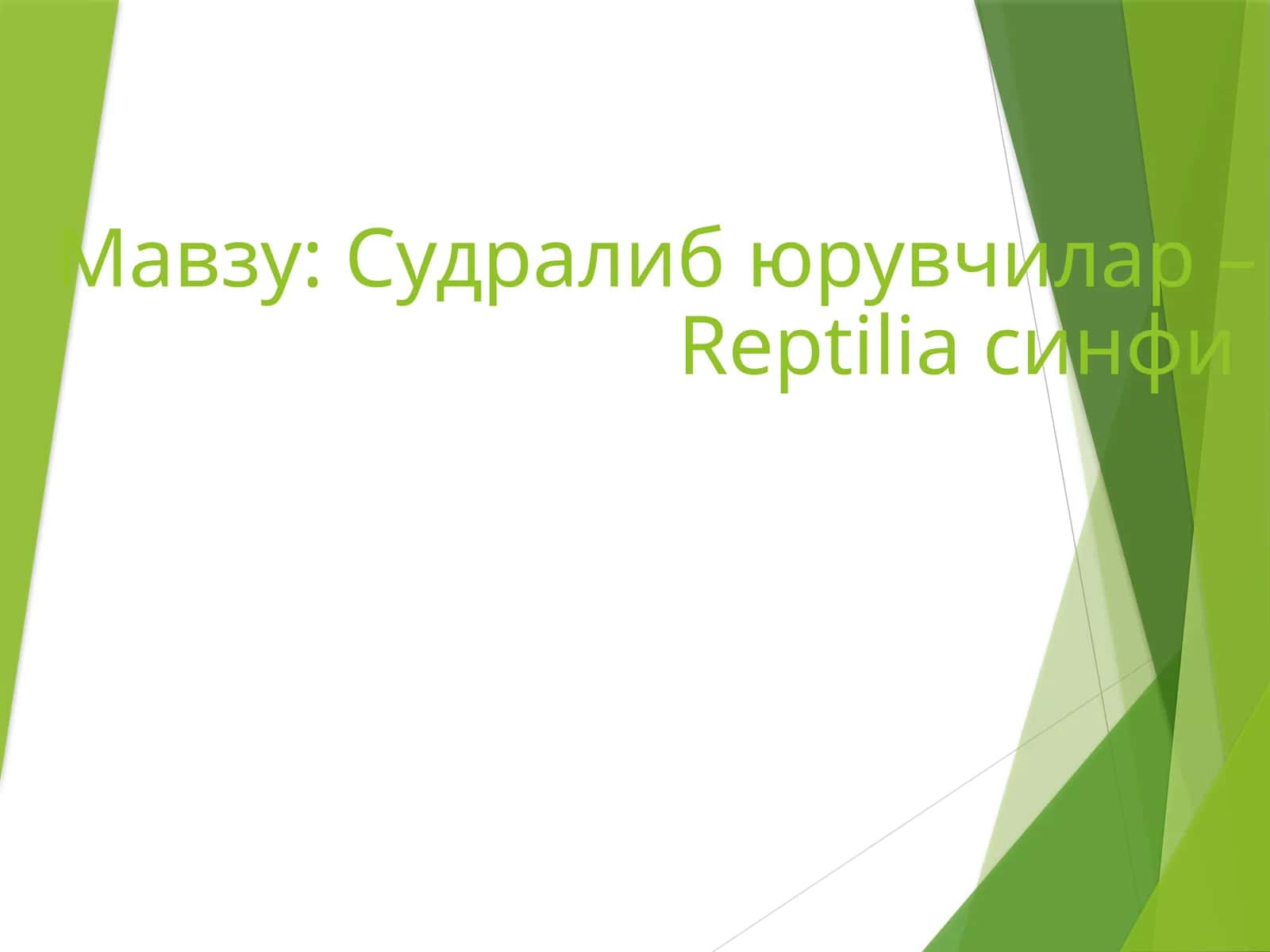 Судралиб юрувчилар – Reptilia синфи 1