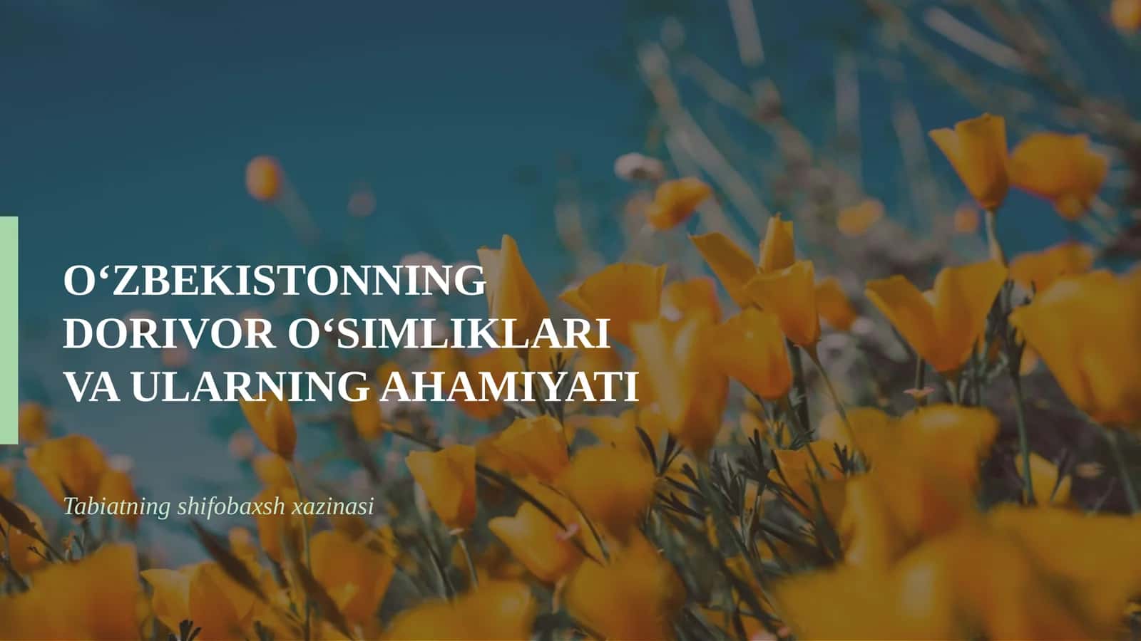 Dorivor o‘simliklar va ularning ahamiyati 1