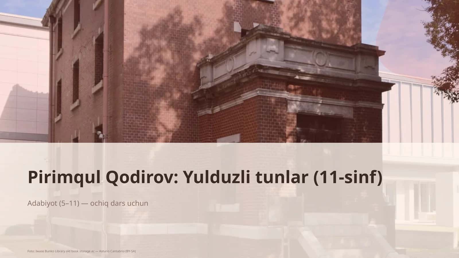 Yulduzli tunlar (11-sinf) 1