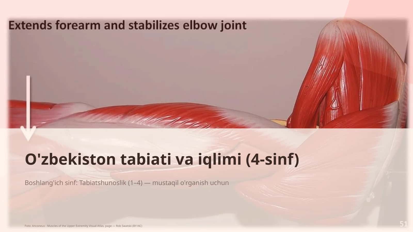 O'zbekiston tabiati va iqlimi (4-sinf) 1