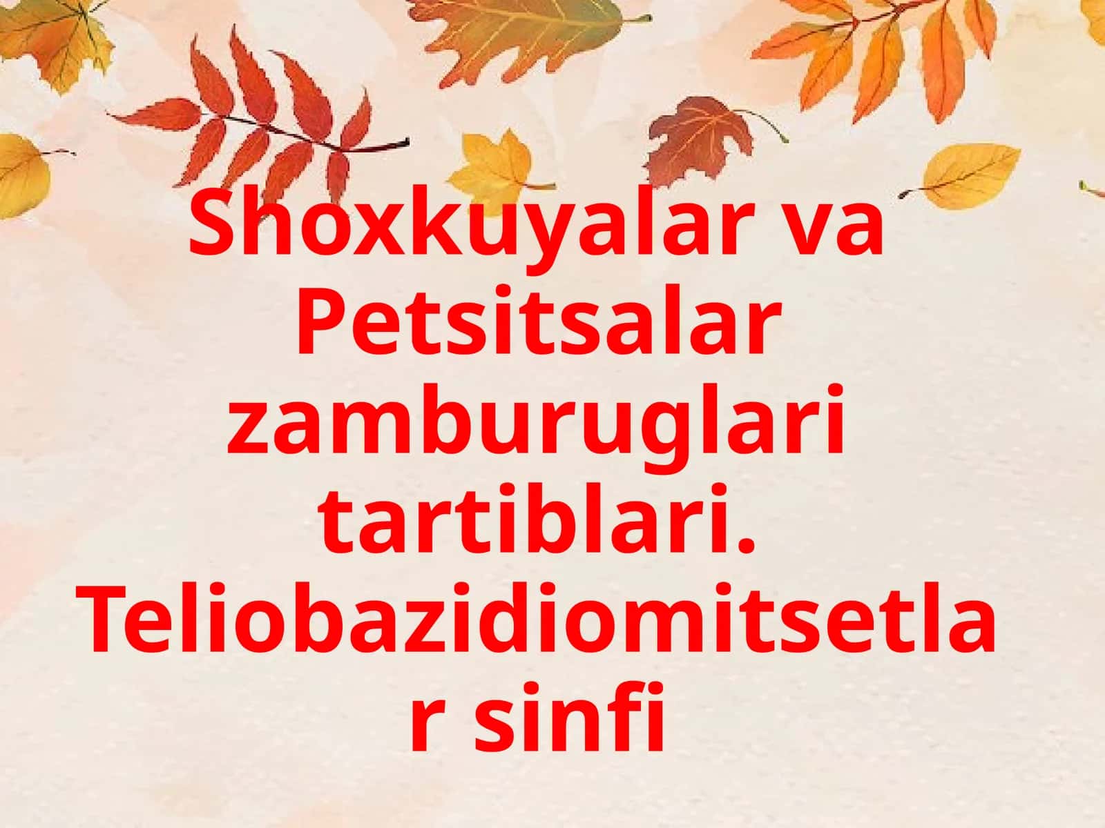 Zamburugʻlar va Petsitsalar 1