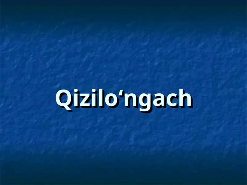 Qizilo‘ngach 1