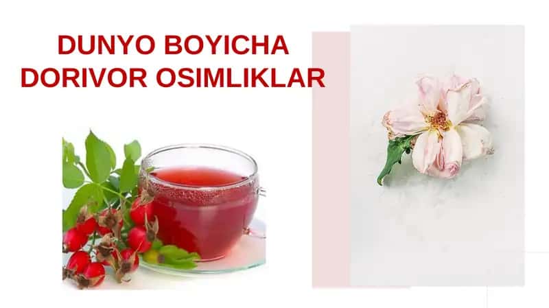 Dorivoroʻsimliklar 1