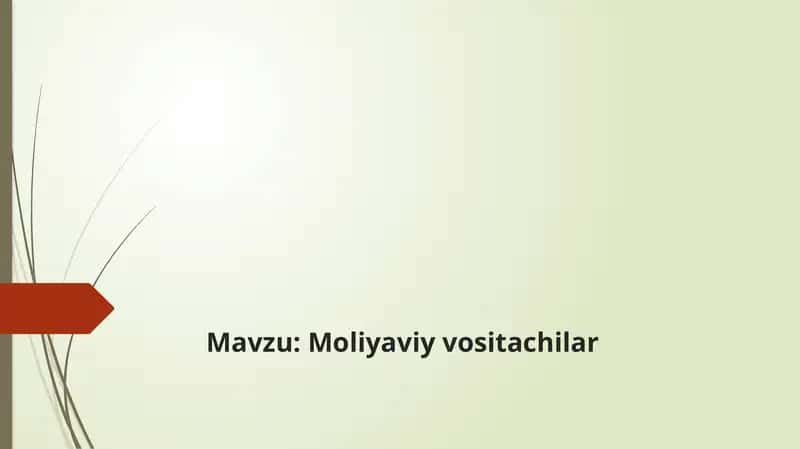 Moliyaviy vositachilar mavzusida taqdimot 1