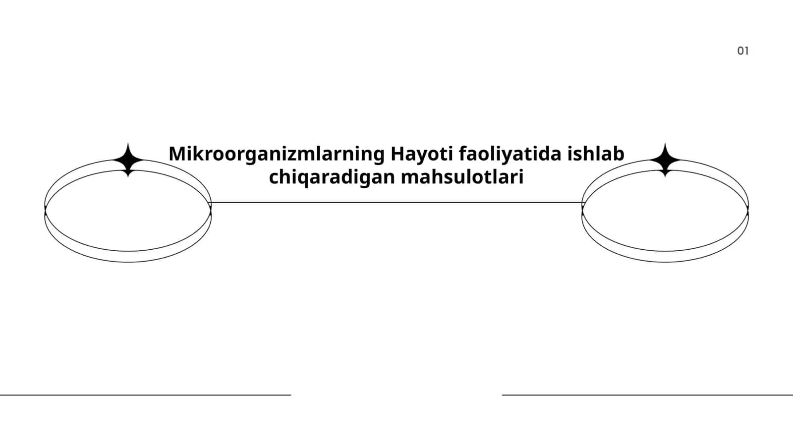 Mikroorganizmlarning Hayoti faoliyatida ishlab chiqaradigan mahsulotlari 1