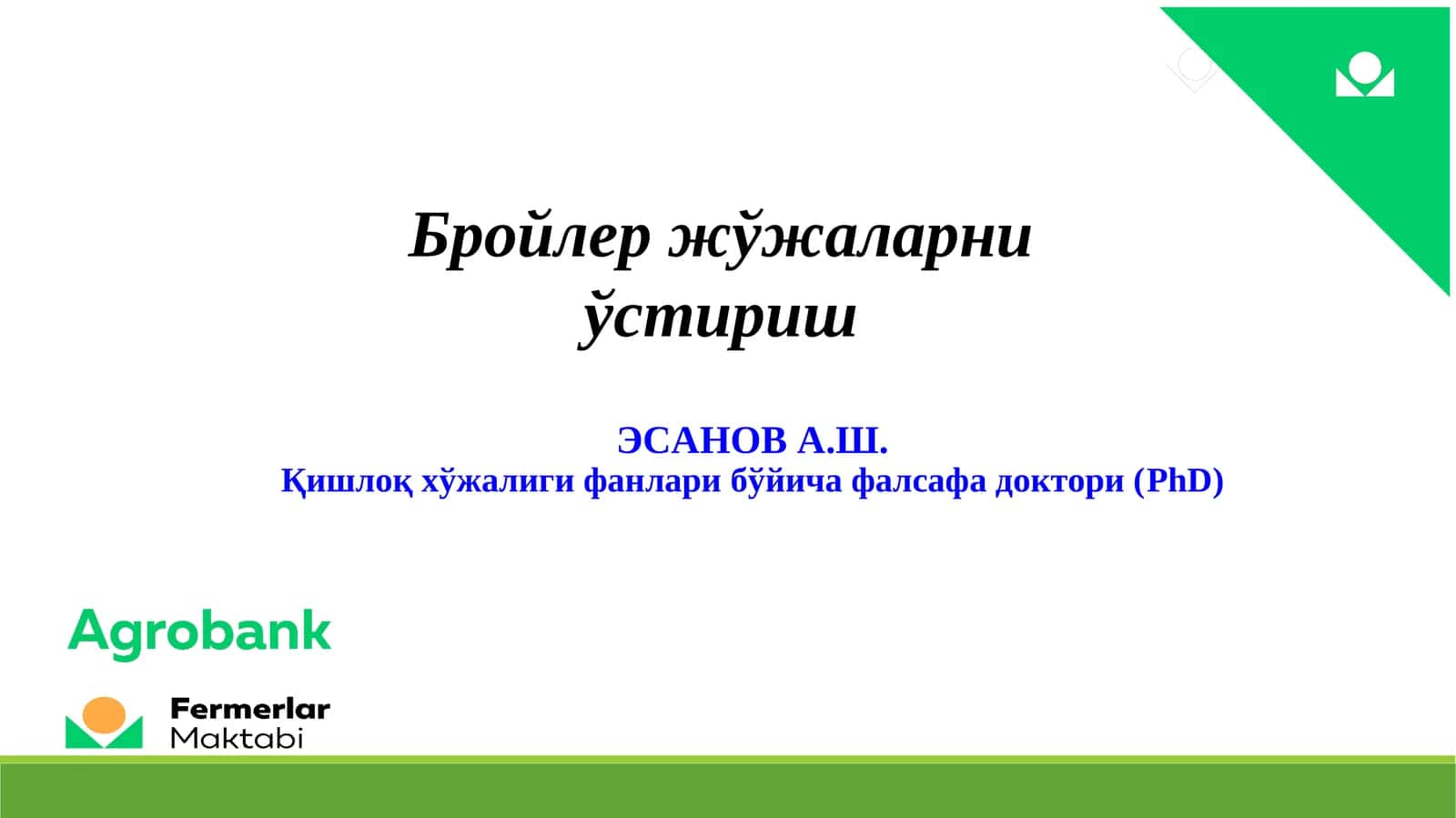 Бройлер жўжаларни ўстириш 1