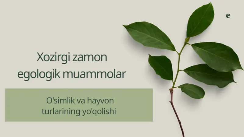 Egologik muammolar,O'simlik va hayvon turlarining yo'qolishi 1
