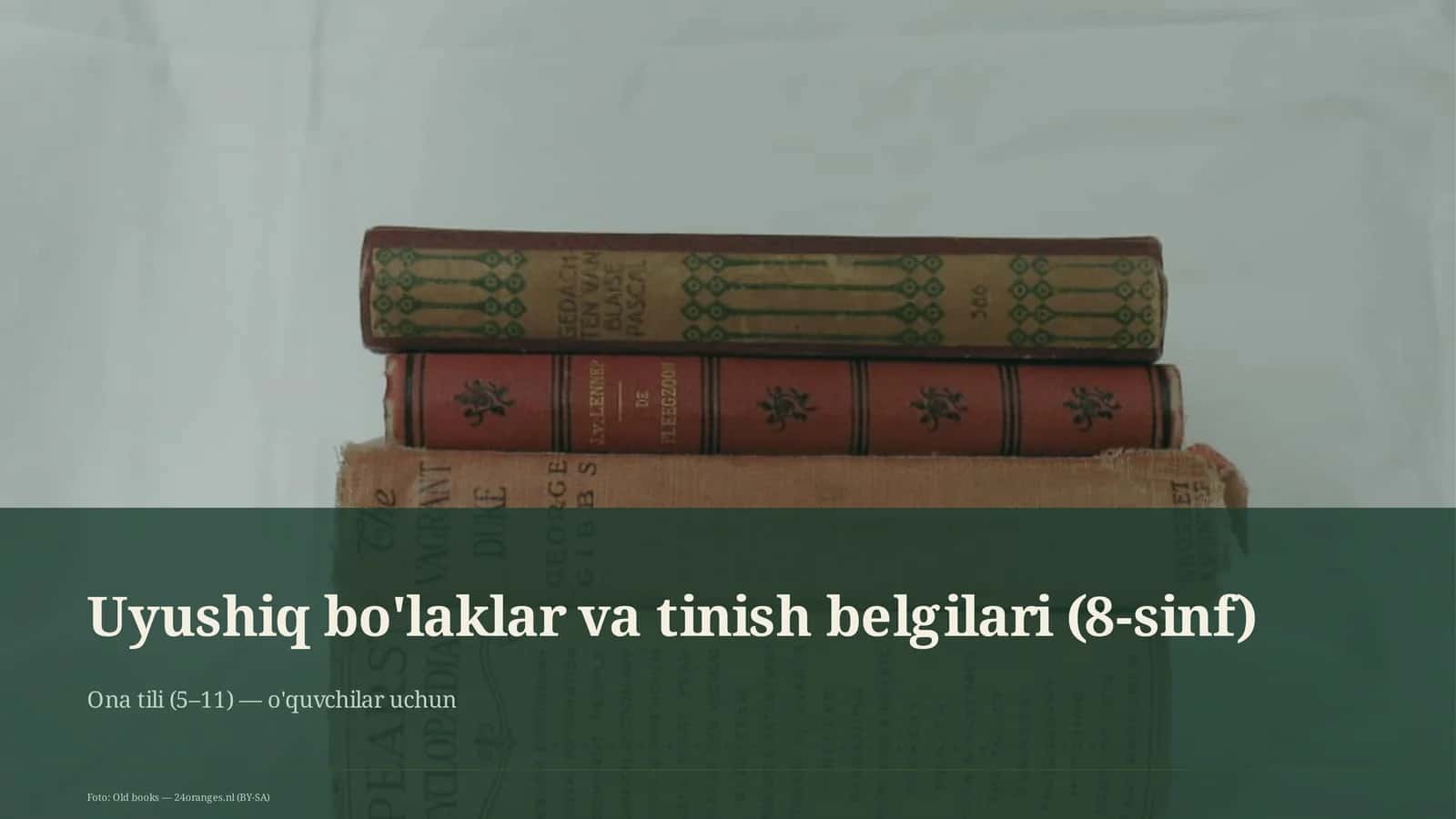Uyushiq bo'laklar va tinish belgilari (8-sinf) 1