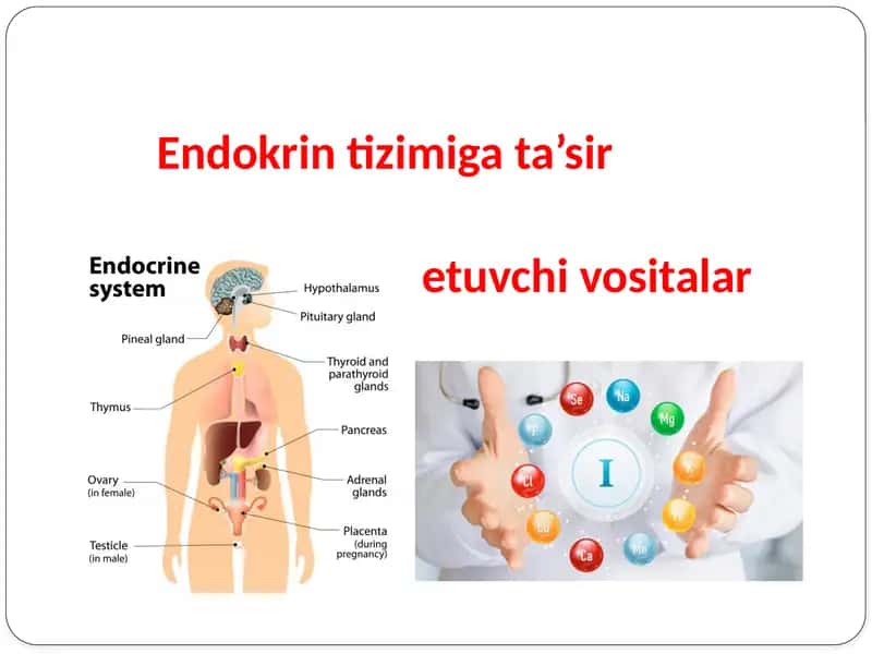 Endokrin tizimiga ta’sir etuvchi vositalar 1