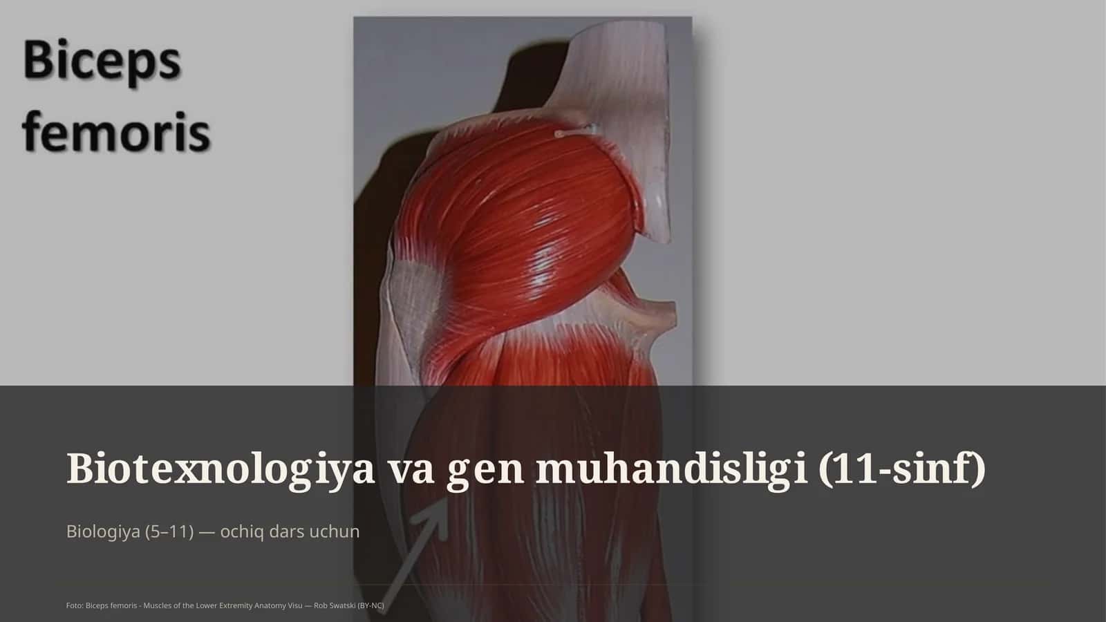 Biotexnologiya va gen muhandisligi (11-sinf) 1