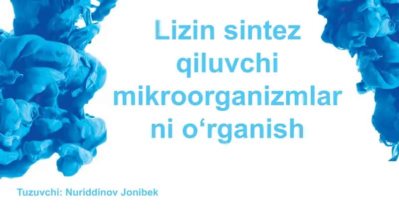 Lizin sintez qiluvchilik mikroorganizmlarini oʻrganish 1
