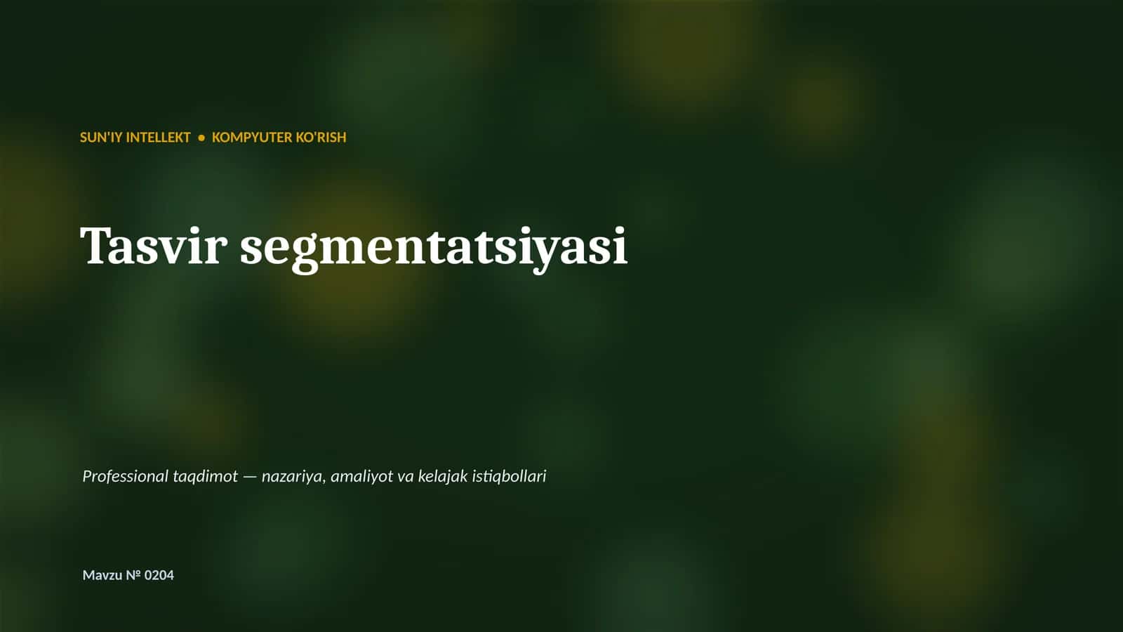Tasvir segmentatsiyasi 1