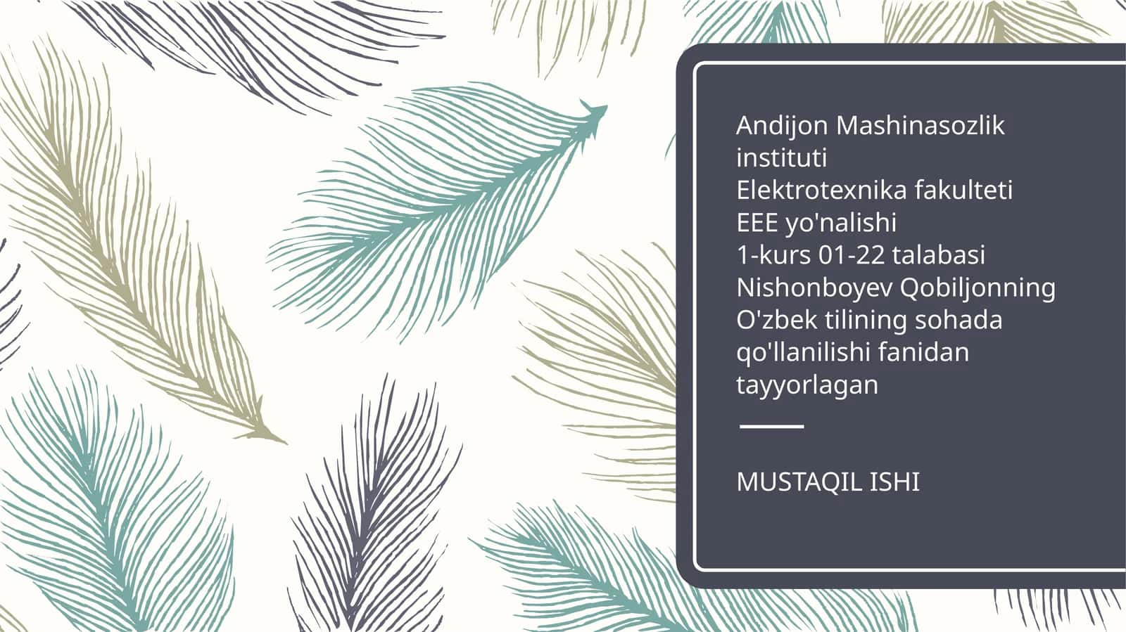 O'zbek tilining sohada qo'llanilishi fanidan tayyorlagan MUSTAQIL ISHI 1