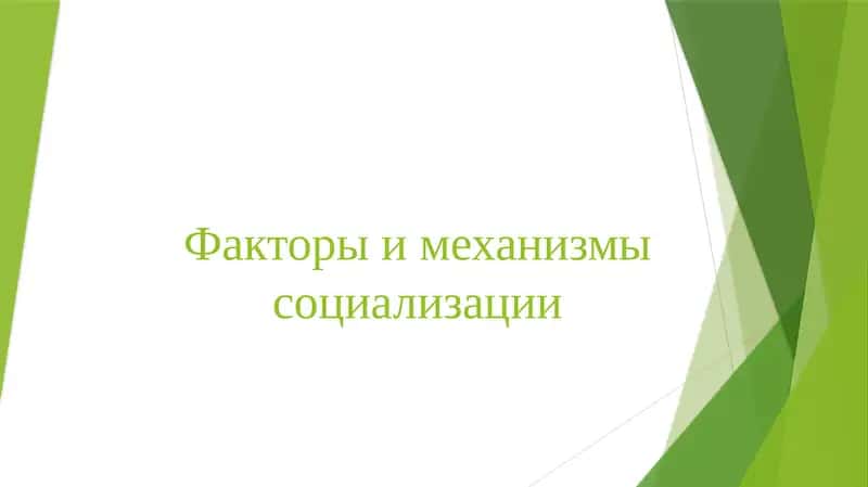 Факторы и механизмы социализации 1