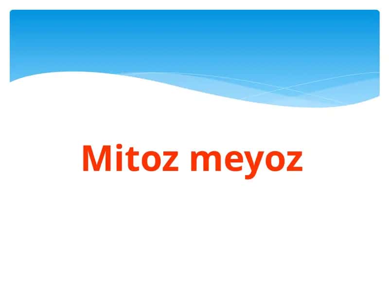 Mitoz meyoz 1