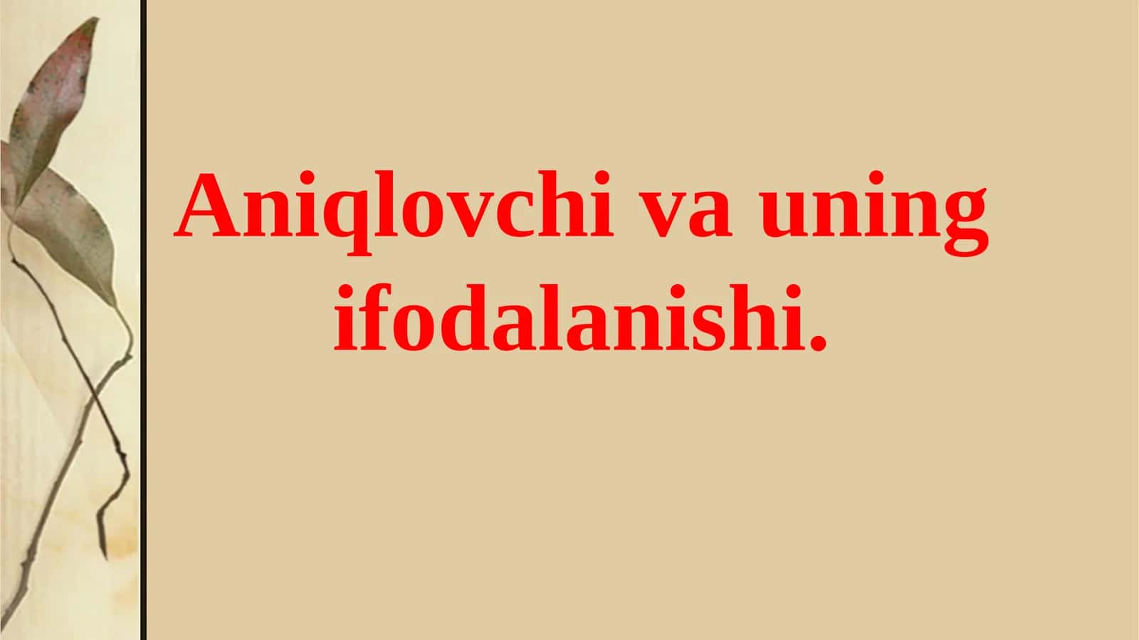 Aniqlovchi 1