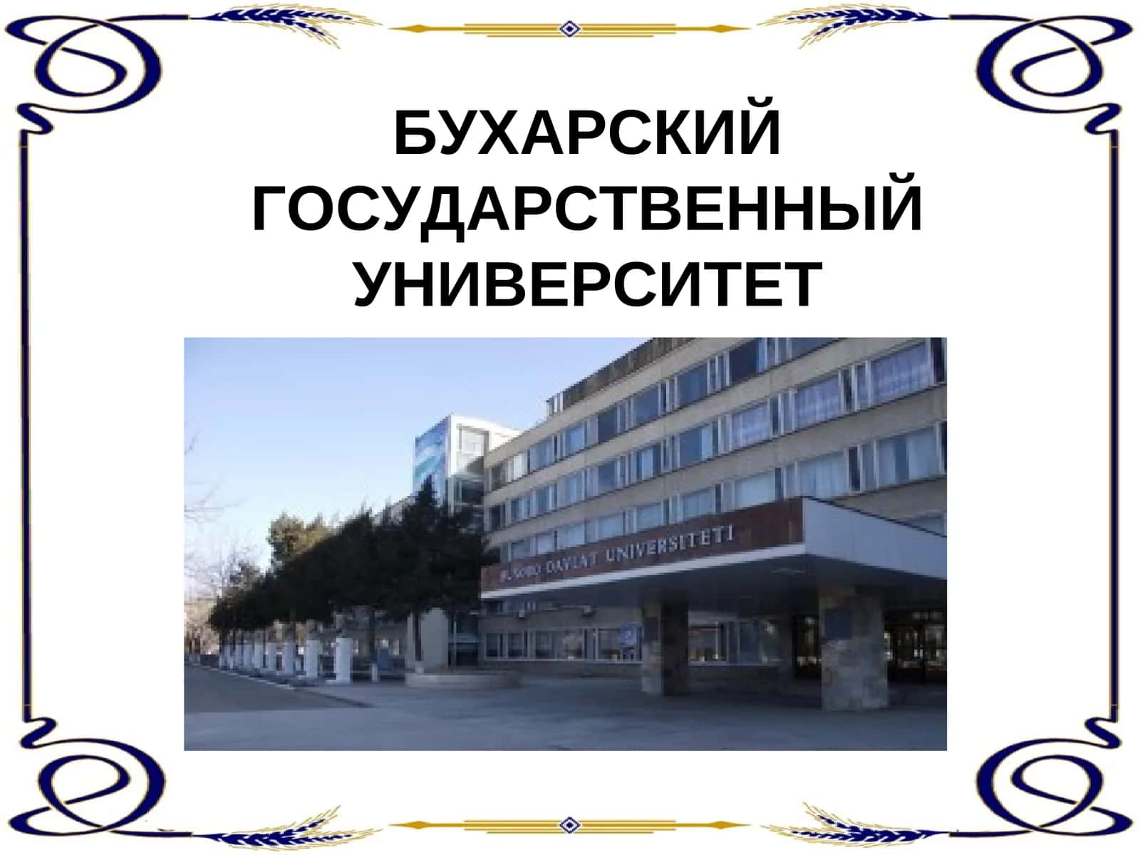 Бухарский государственный университет 1