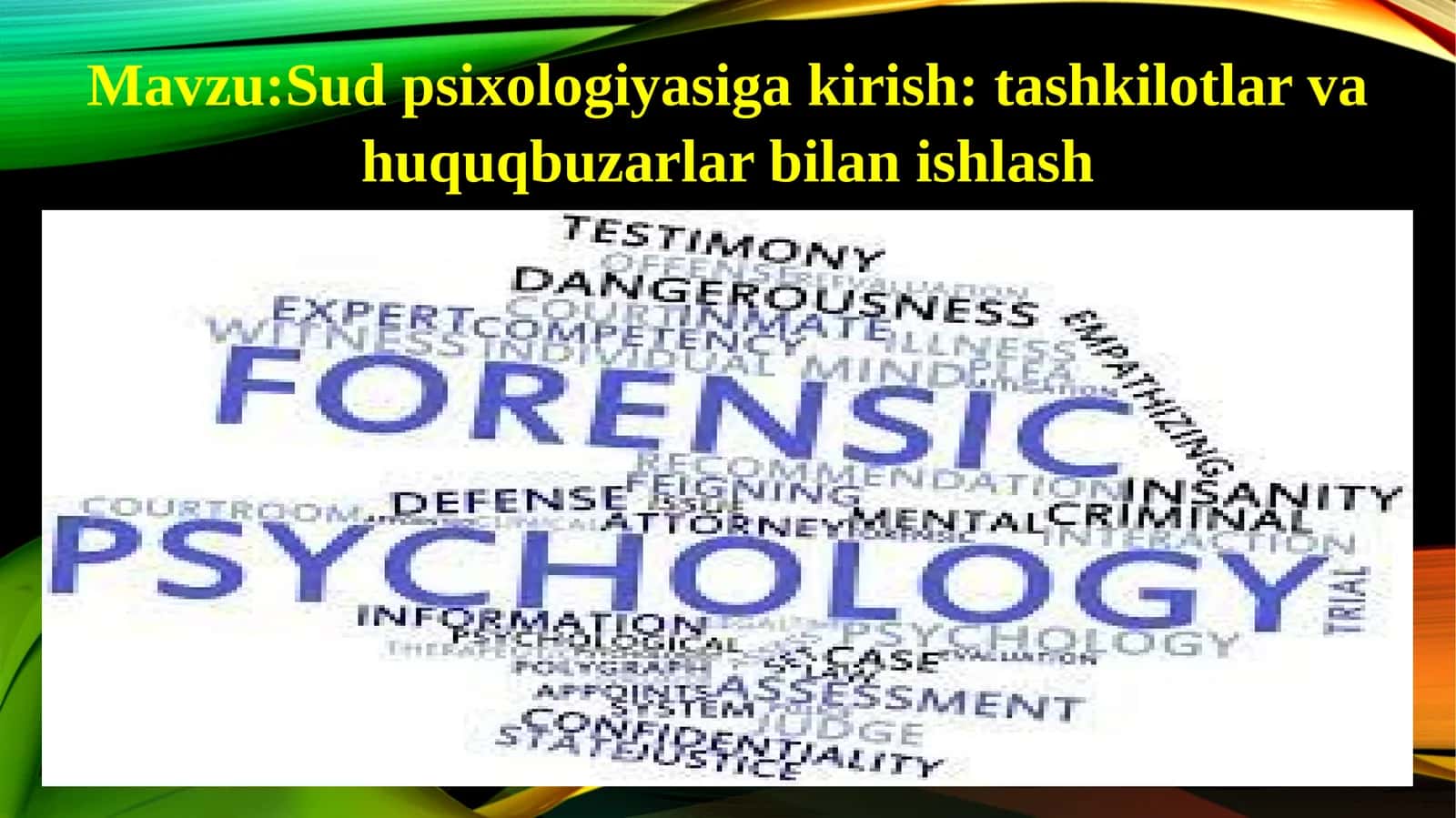 Sudpsixologiyasiga kirish: tashkilotlar va huquqbuzarlar bilan ishlash 1