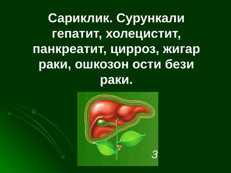 Суринкалигепатитлар 1