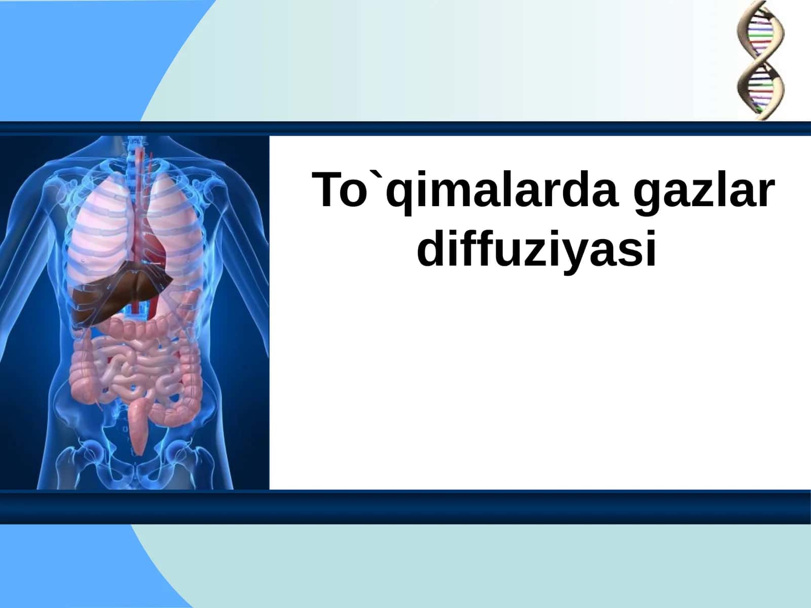 To`qimalarda gazlar diffuziyasi 1
