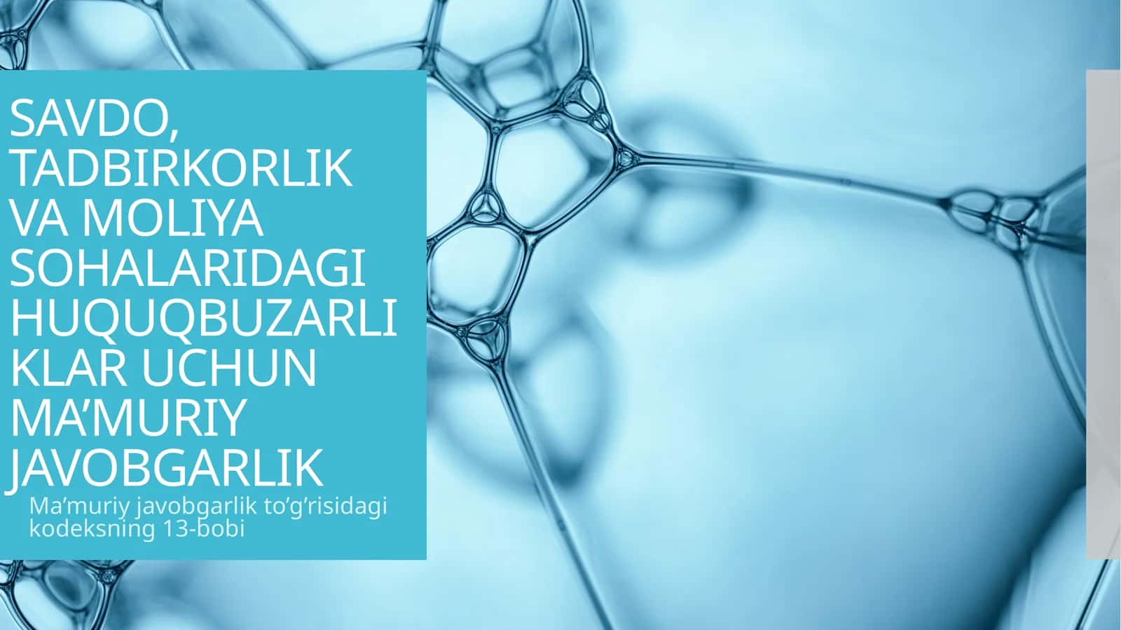 SAVDO, TADBIRKORLIK VA MOLIYA SOHALARIDAGI HUQUQBUZARLIKLAR UCHUN MAʼMURIY JAVOBGARLIK 1