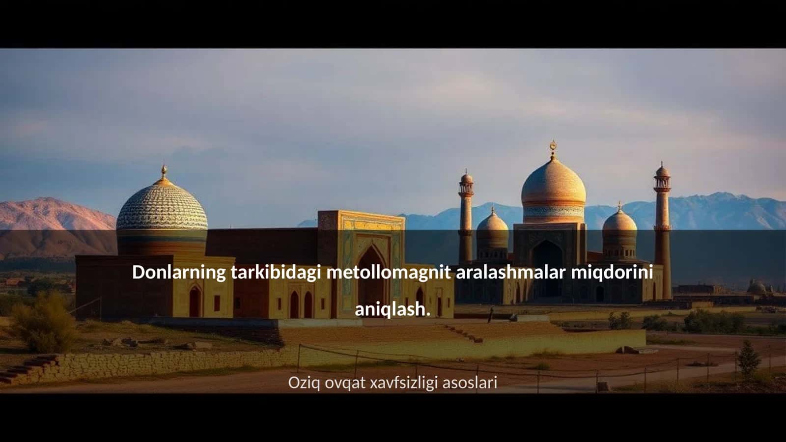 Metollomagnit aralashmalar tushunchasi 1