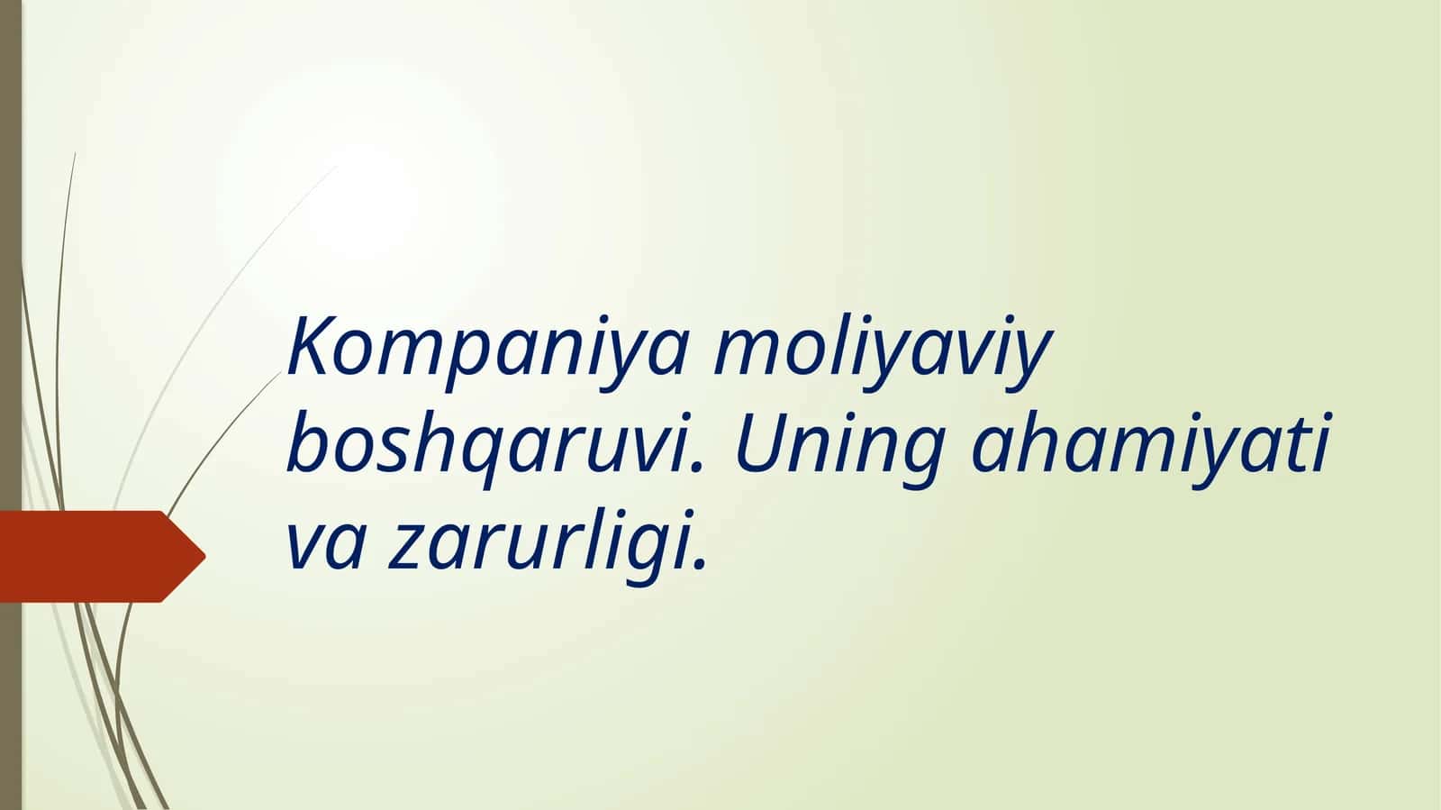Moliyaviy boshqaruv tizimi 1