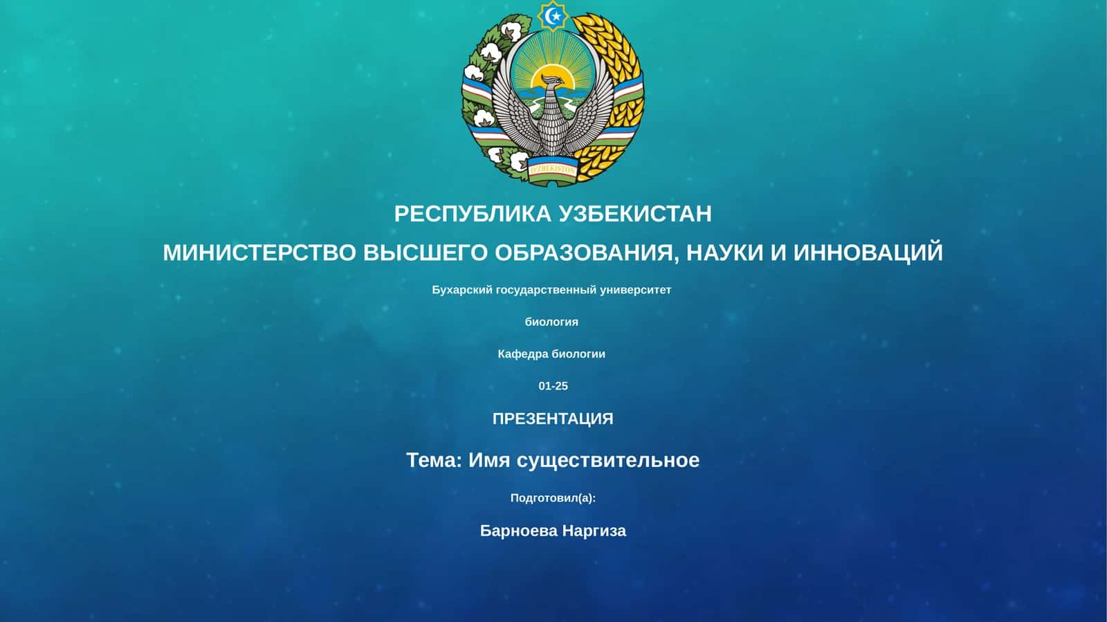 Презентация: Имя существительного 1