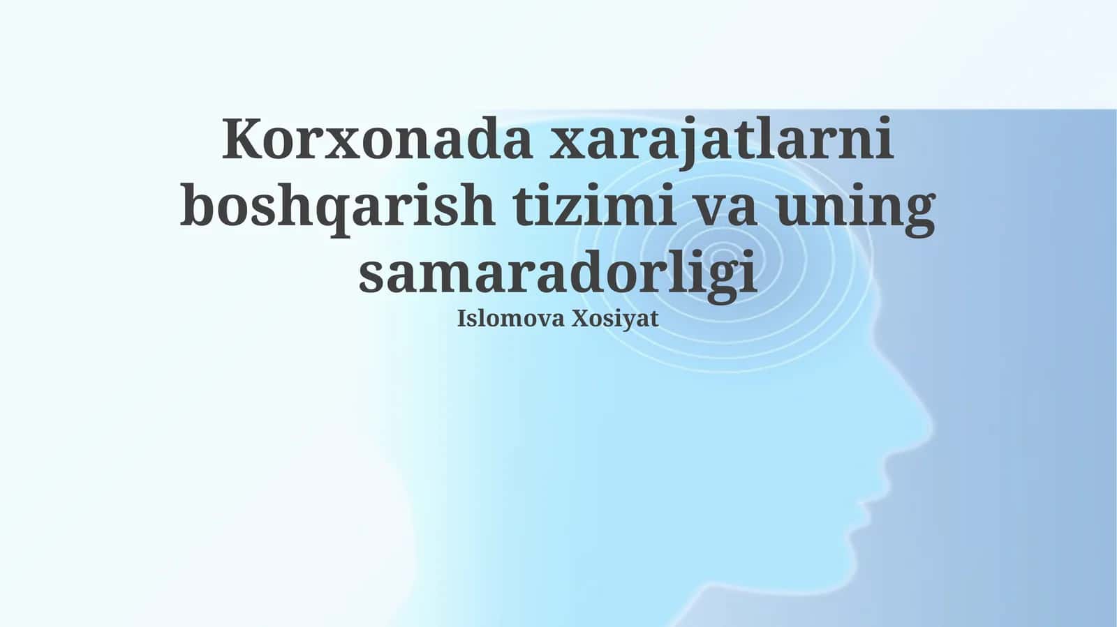 Korxonada xarajatlarni boshqarish tizimi va uning samaradorligi 1