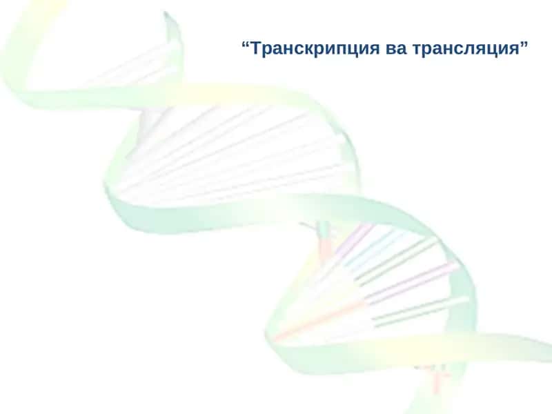 Транскрипция ва трансляция 1