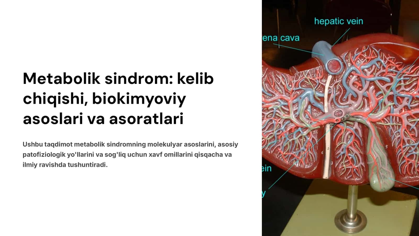 Metabolik sindrom: kelib chiqishi, biokimyoviy asoslari va asoratlari 1