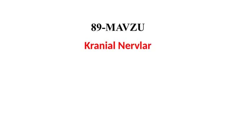 cranial nerv 1