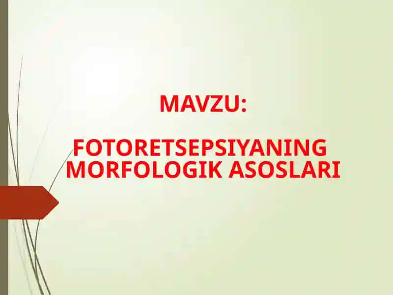 FOTORETSEPSIYANING MORFOLOGIK ASOSLARI 1