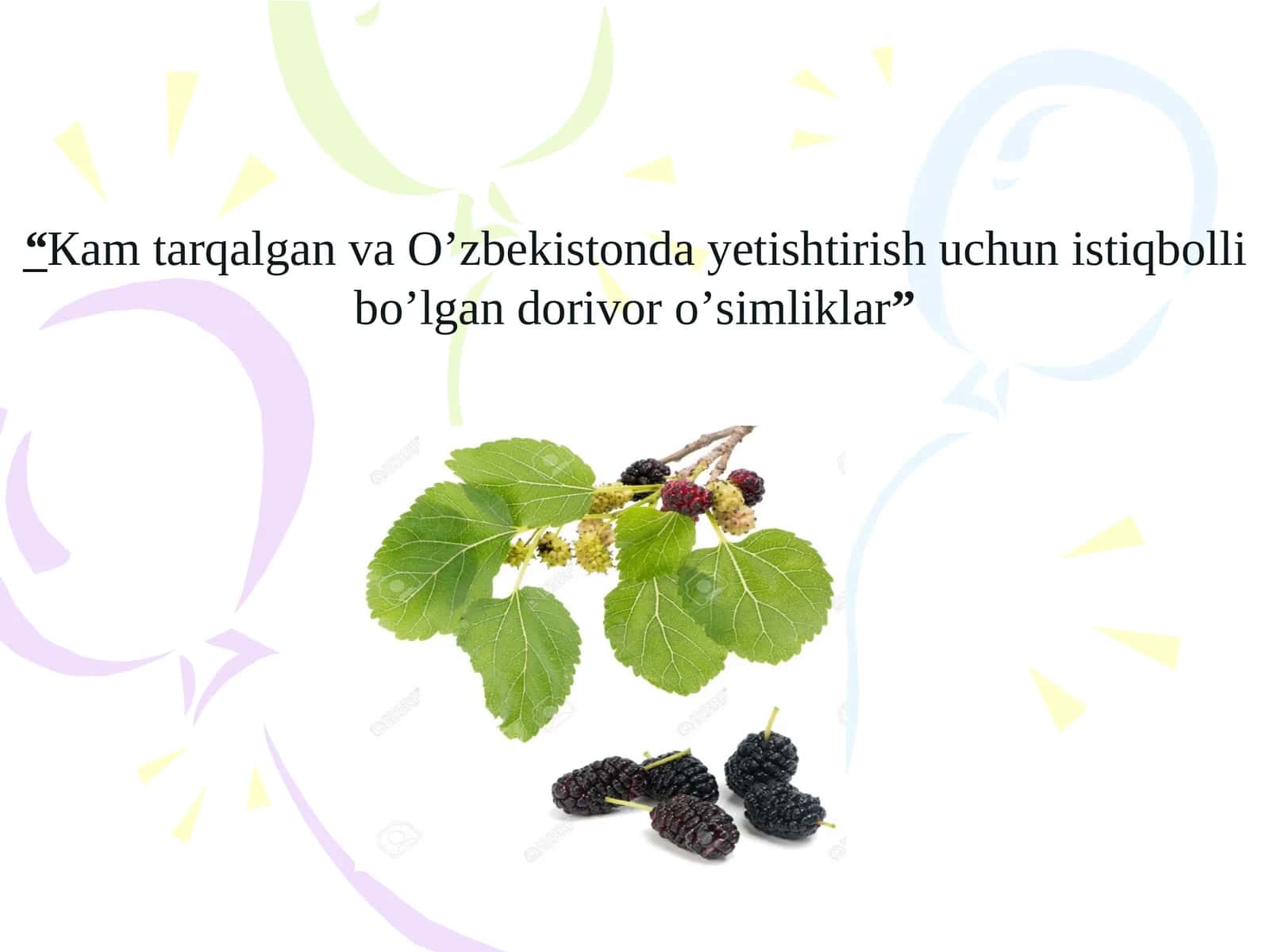 Yovvoyi o'simliklar 1