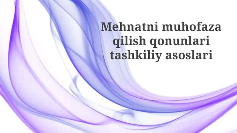 Mehnatni muhofaza qilish qonunlari tashkiliyasoslari 1