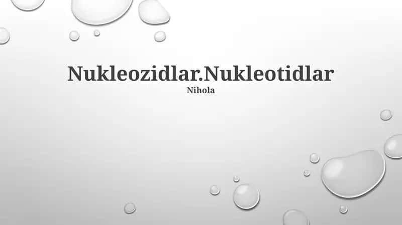 Nukleozidlar.Nukleotidlar 1