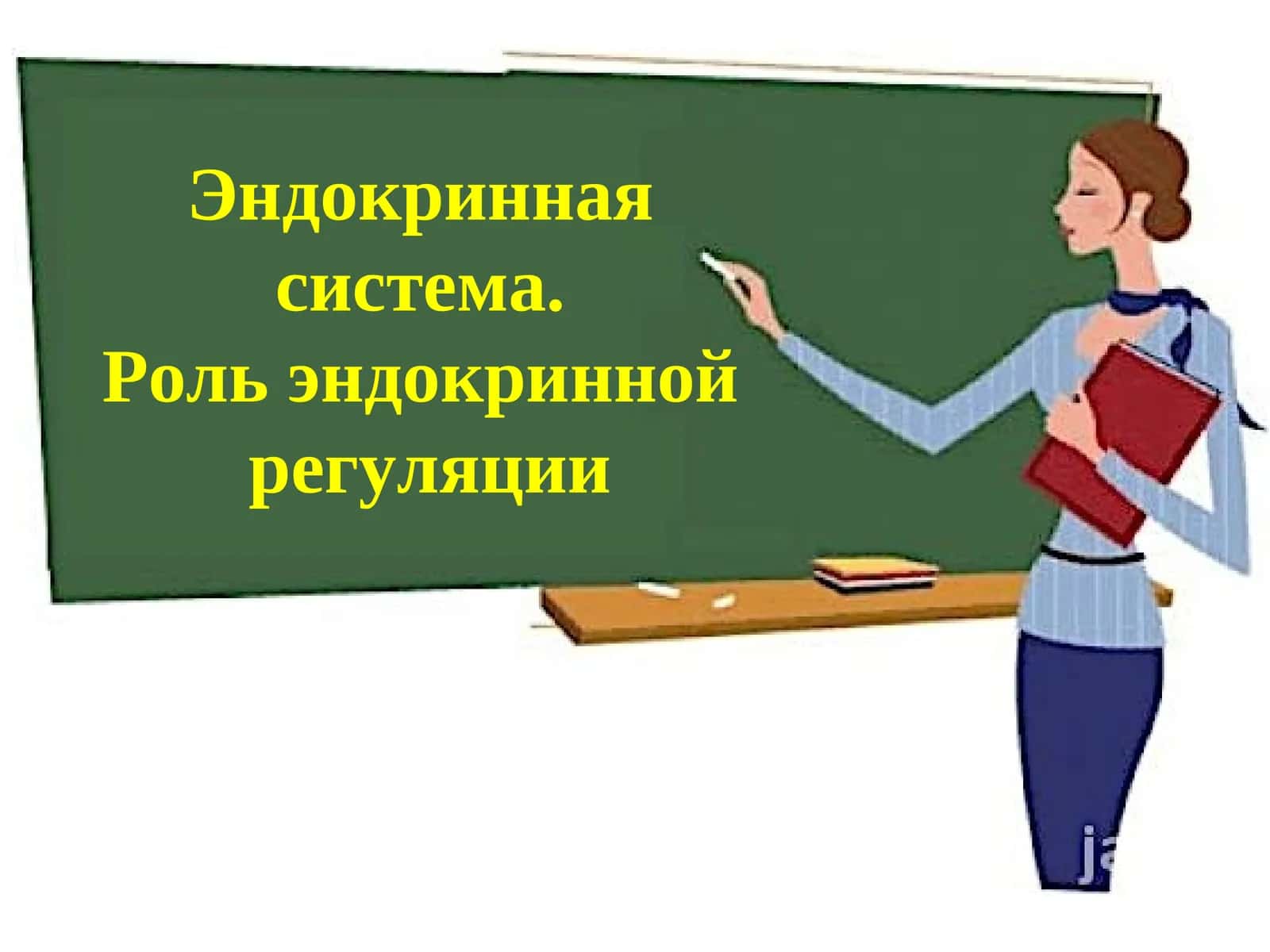Эндокринная система. Роль эндокринной регуляции 1