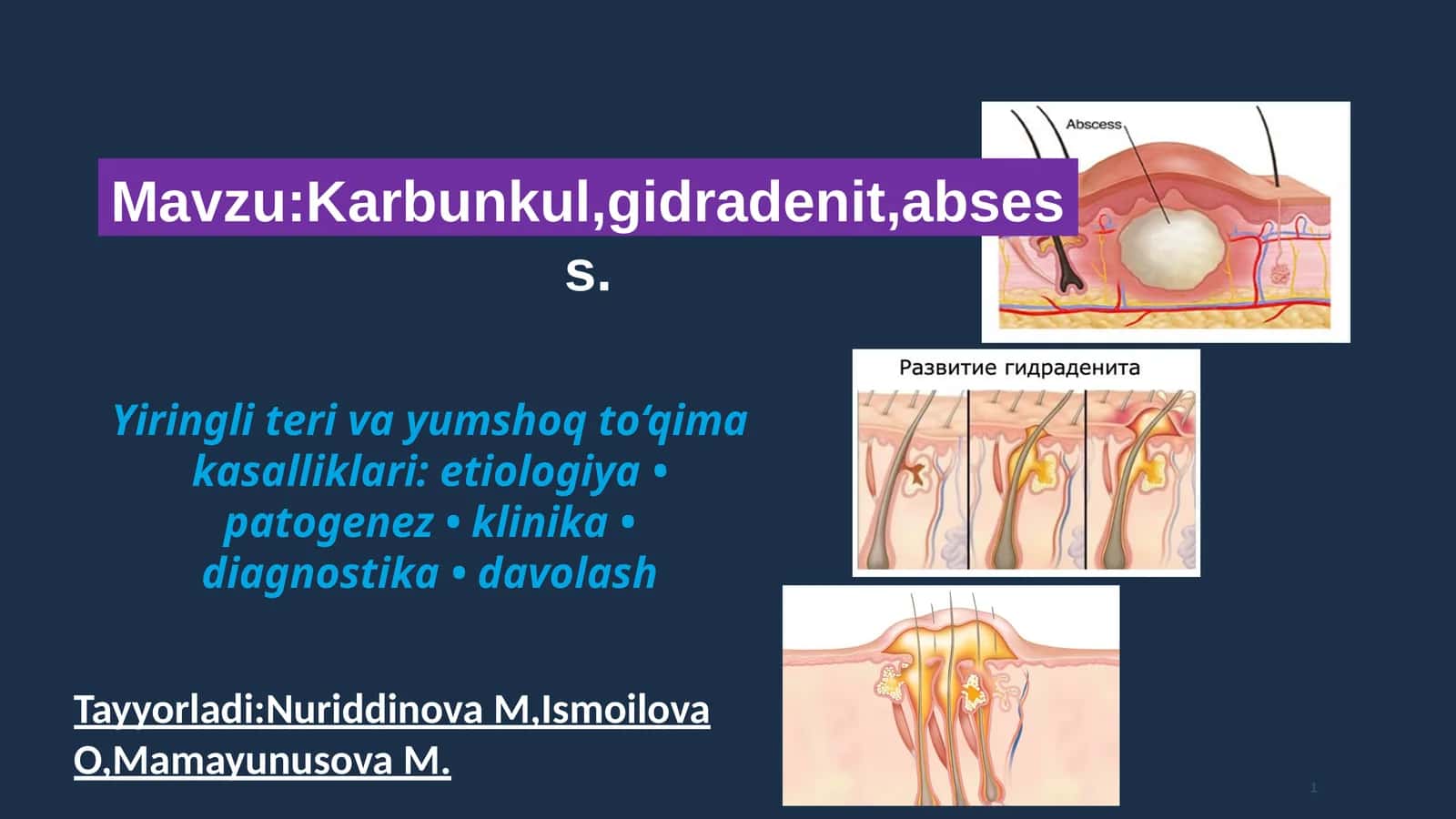 Karbunkul, gidradenit, absess 1