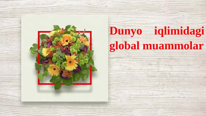 Dunyo iqlimidagi global muammolar 1