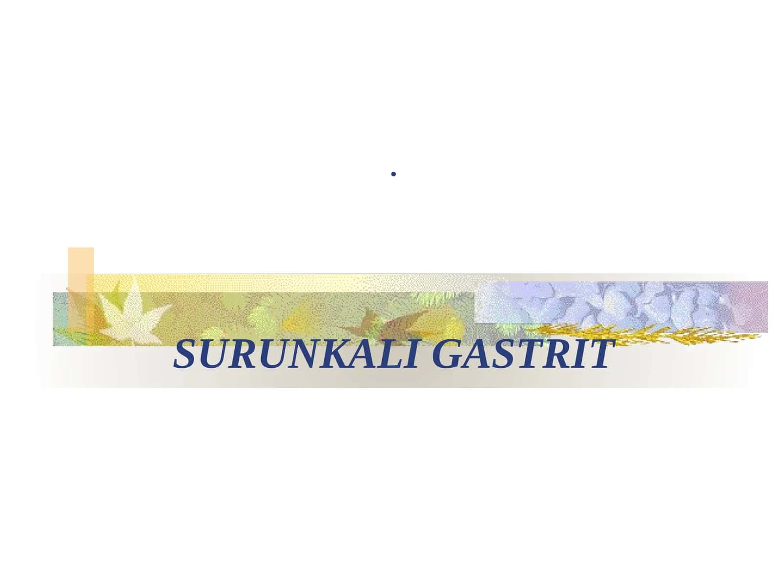 SURUNKALI GASTRIT 1