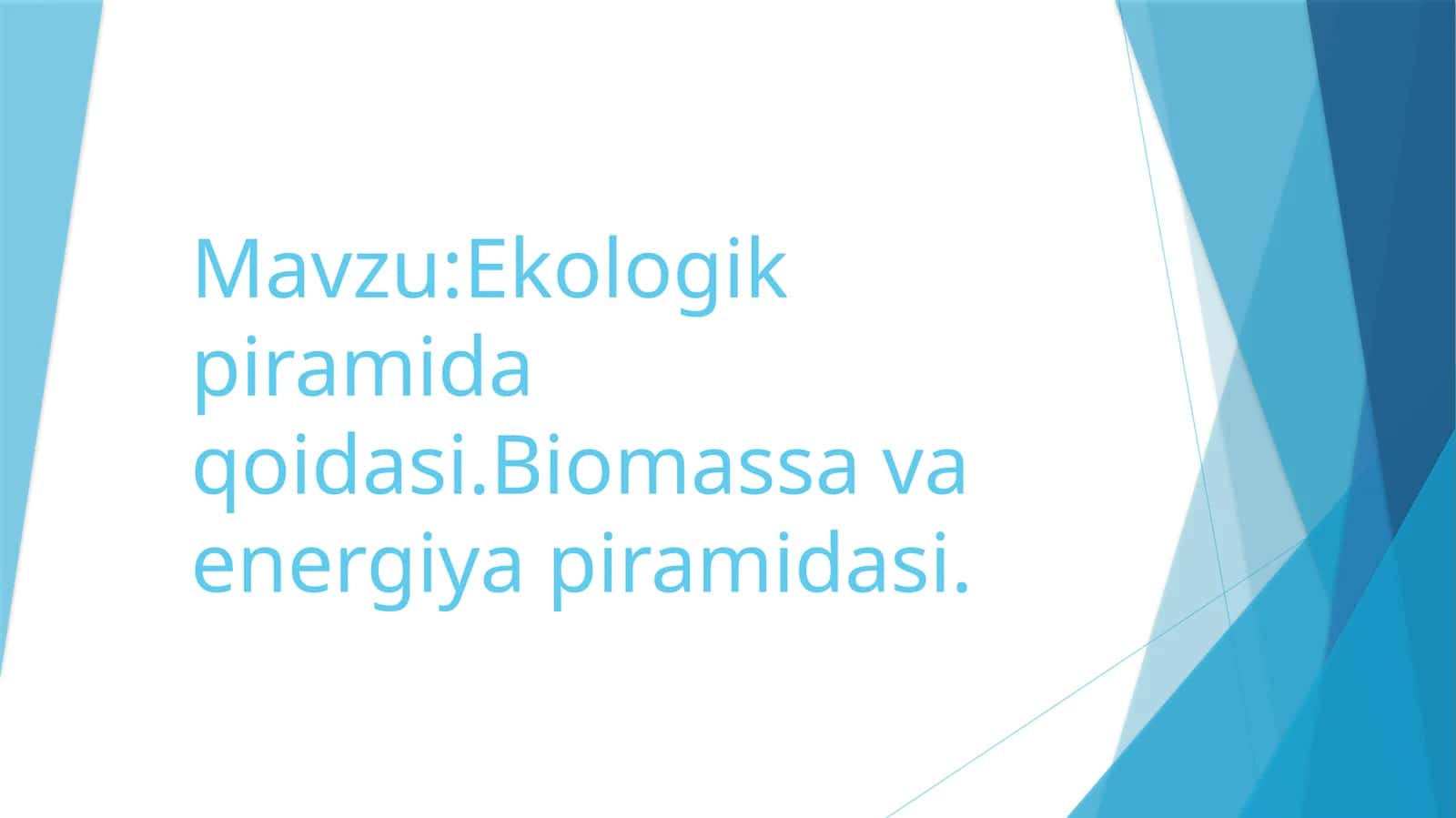 Ekologik piramida qoidasi va biomassa va energiya piramidasi 1