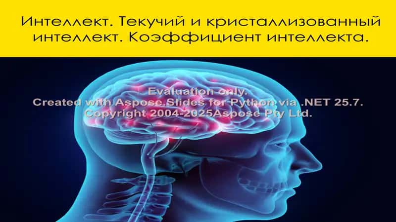 Интеллект 1