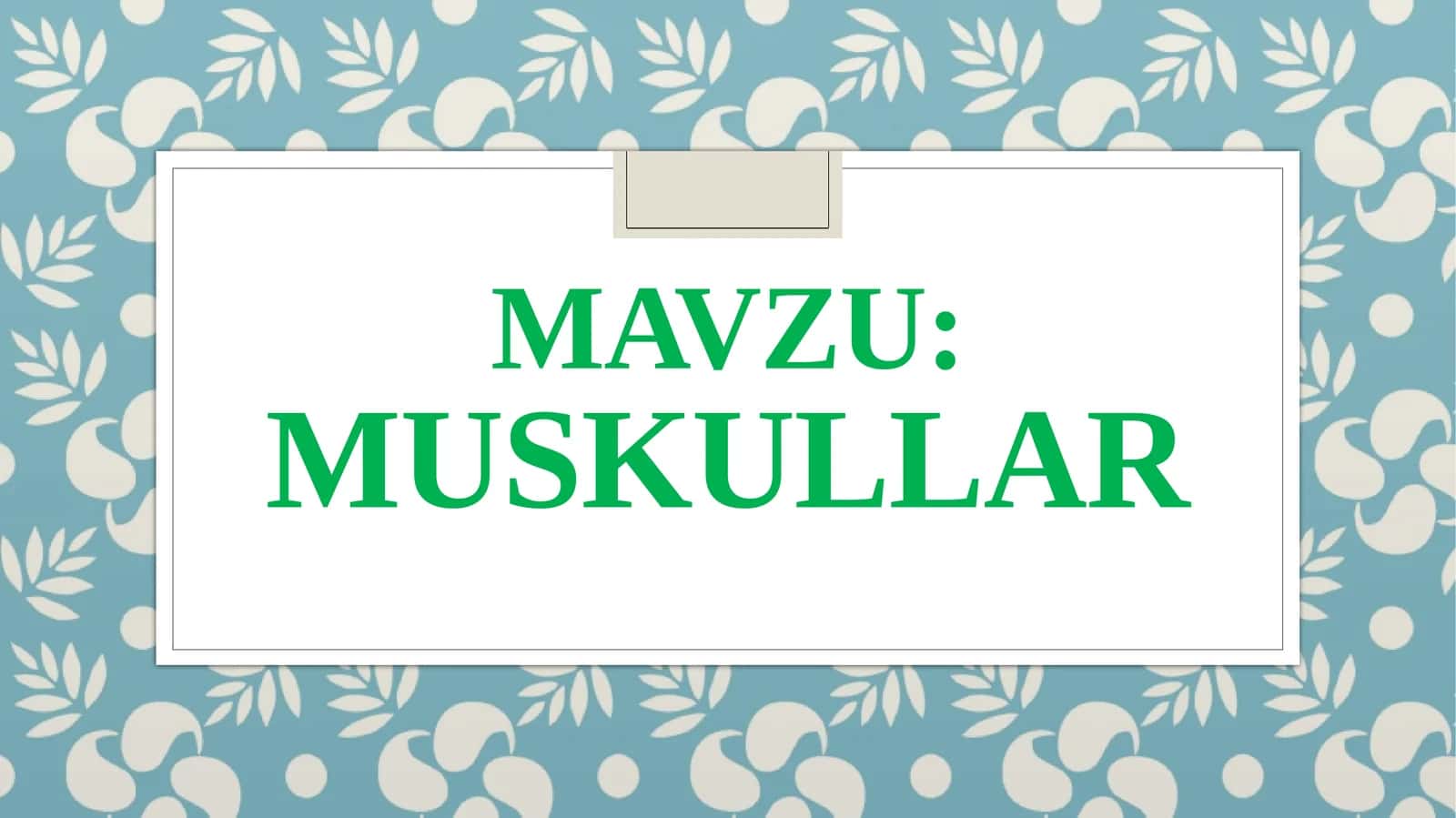 Muskullar 1