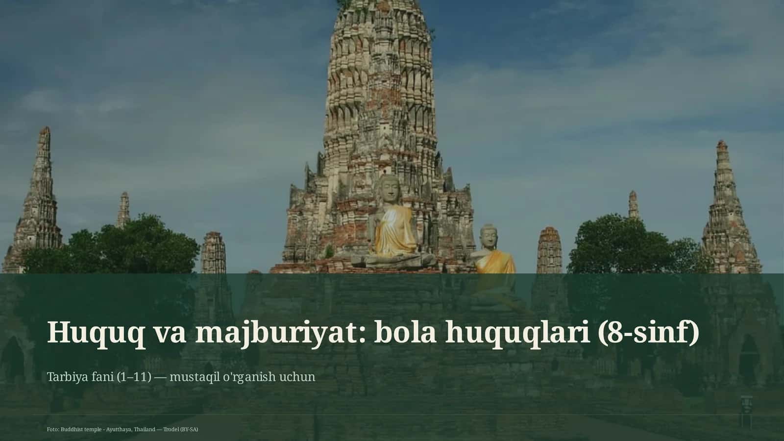 Huquq va majburiyat: bola huquqlari (8-sinf) 1