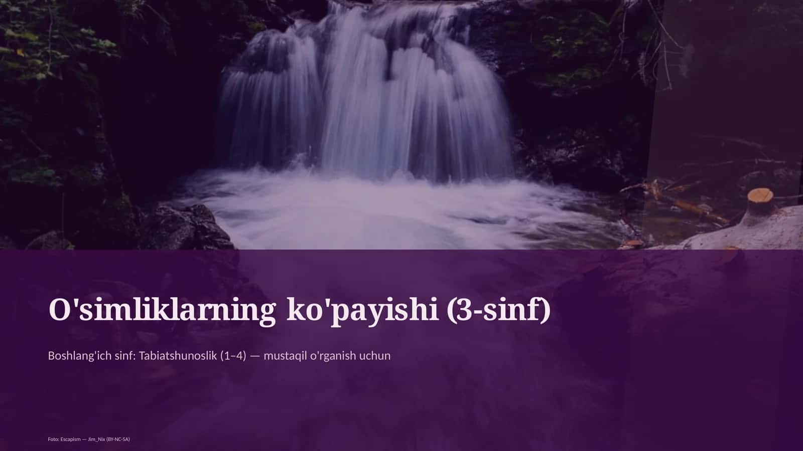 O'simliklarning ko'payishi (3-sinf) 1