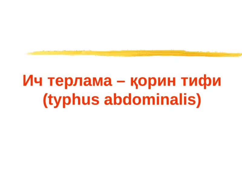 Ич терлама – қорин тифи (typhus abdominalis) 1