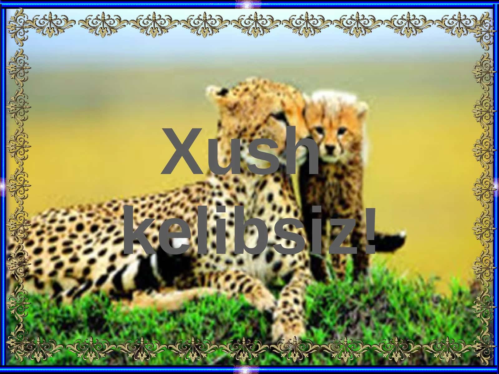 Primatlarturkumi. Sutemizuvchilarningahamiyati. O`smirlikdavriningpsixologik o`zigaxosligivaularningshaxslararo munosabatlardanomoyonbo`lishi 1