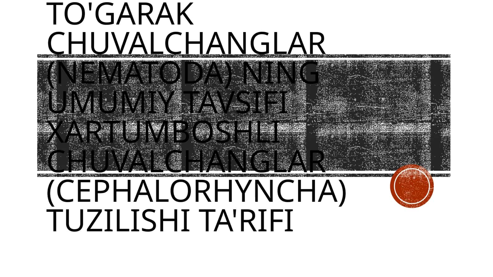 To'garak chuvalchanglar (Nematoda) ning umumiy tavsifi Xartumboshli chuvalchanglar (Cephalorhyncha) tuzilishi ta'rifi 1